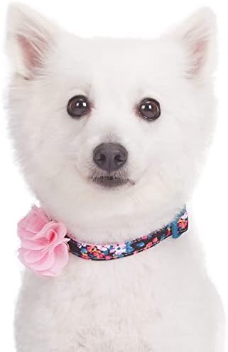 Blueberry Pet Made Well Elegant Floral Print Adjustable Dog Collar in Sleek Black with Pink Artificial Silk Flower, X-Small, Neck 7.5"-10"