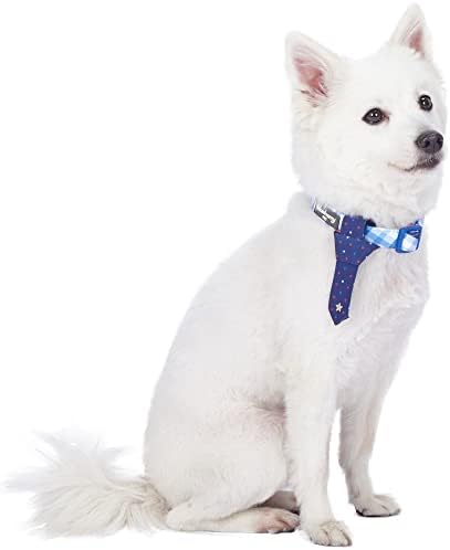 Blueberry Pet 4 Patterns Blue Hue Scottish Plaid Style Adjustable Tie Dog Collar, Medium, Neck 14.5"-20"