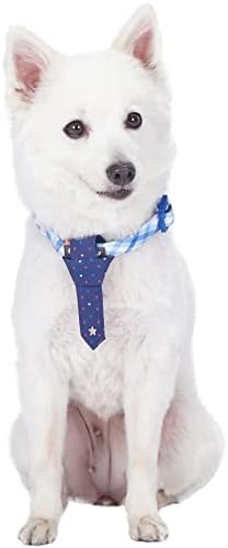Blueberry Pet 4 Patterns Blue Hue Scottish Plaid Style Adjustable Tie Dog Collar, Medium, Neck 14.5"-20"