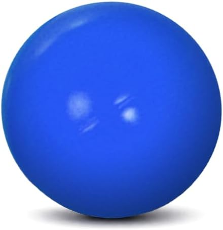 Doggie Dooley Virtually Indestructible Dog Ball - 4.5 Inch Hard Plastic Interactive Dog Toy for Large Breeds Over 1-30 lbs -Built for Herding & Push Play -Floats in Water, Made in USA -Colors May Vary