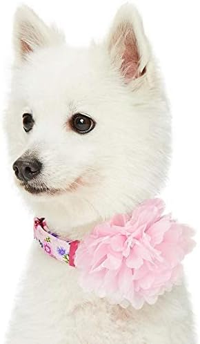 Blueberry Pet Floral Power Cosmos Designer Pink Adjustable Dog Collar with Detachable Pink Peony, Medium, Neck 14.5"-20"