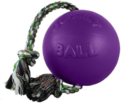 Jolly Pets Romp-N-Roll Rope & Ball Dog Toy, 4.5 in Small, Blueberry | Rope-and-ball fetch toy in tough JollyFlex - won't deflate if punctured, floats, made in USA