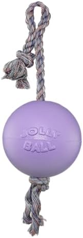 Jolly Pets Romp-N-Roll Rope & Ball Dog Toy, 6 in Medium, Light Purple | Rope-and-ball fetch toy in tough JollyFlex - won't deflate if punctured, floats, made in USA