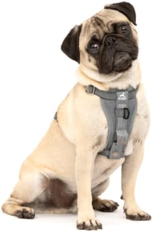 Kurgo Enhanced Strength Tru-Fit Smart Harness, Charcoal, Small