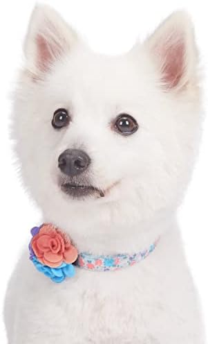 Blueberry Pet Made Well Lovely Floral Print Adjustable Dog Collar in Lavender with Detachable Flower Accessory, X-Small, Neck 7.5"-10"