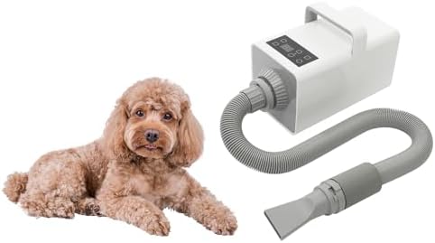 65dB Low Noise Pet Hair Dryer - 1900W Adjustable Temp 86-140°F Dog Cat Blower w/ 4 Nozzles & 90in Hose, Home Grooming Salon Tool