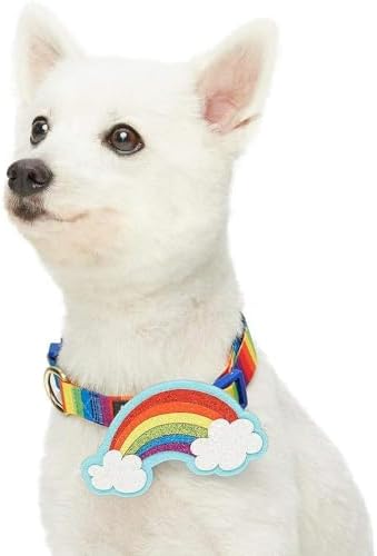 Blueberry Pet The Perfect Rainbow Adjustable Dog Collar with Blingy Decor, Small, Neck 12"-16"
