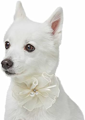 Blueberry Pet Dog of Honor Wedding Collar, Medium, Elastic Breakaway Quick Release Dog Cat Collar with Flower