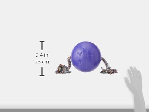 Jolly Pets Romp-N-Roll Rope & Ball Dog Toy, 8 in Large, Purple | Rope-and-ball fetch toy in tough JollyFlex - won't deflate if punctured, floats, made in USA