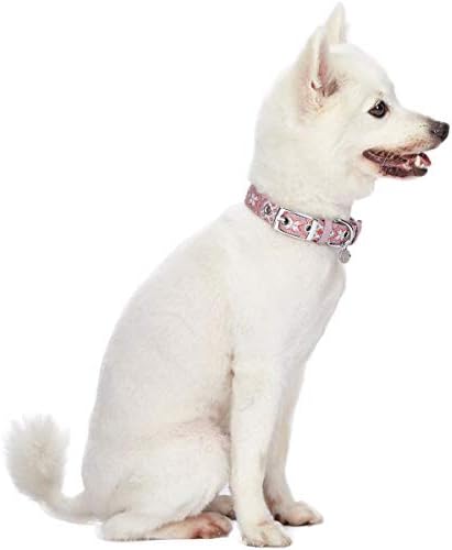 Blueberry Pet Southwestern Modern Tribal Print Thistle Braided Adjustable Dog Collar with Metal Buckle, Neck 17-20.5", for Large Breed