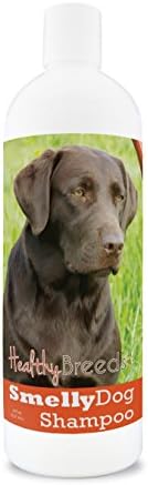 Healthy Breeds Labrador Retriever Smelly Dog Baking Soda Shampoo 8 oz