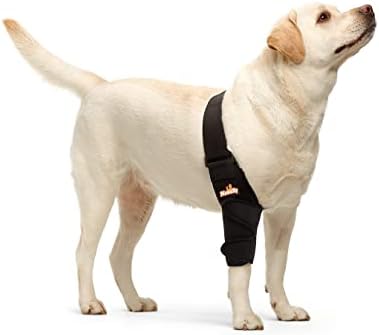 NeoAlly Dog Elbow Brace Protector Pads for Canine Elbow and Shoulder Support Elbow Hygroma, Dysplasia, Osteoarthritis, Elbow Calluses, Pressure Sores and Shoulder Dislocation (Right Leg, Medium)