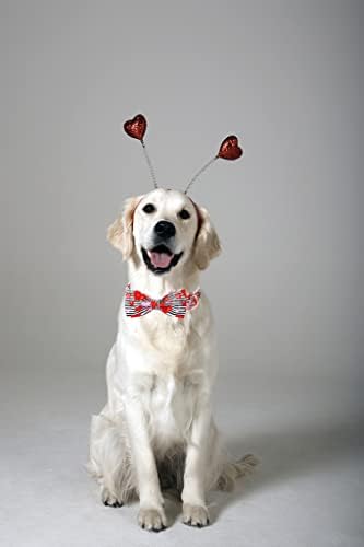Lionet Paws Valentines Dog Collar with Bowtie, Dog Bowtie Collar with Metal Buckle for Dogs, Adjustable Comfortable Dogs Collars Girl Boy Hearts, XS, Neck 8-12 in