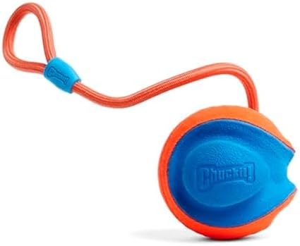 Chuckit! Rope Fetch Dog Toy, Ball on Rope, Durable EVA Rubber, 5.5-in | 18-In Rope Toy Doubles as a Fetch and Tug-of-War Toy for Dogs, Built in a Durable Orange and Blue Design for Play