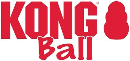 KONG Ball with Hole, Natural Rubber Fetch Toy, Red, for Small Dogs | KONG Durable Natural Rubber Fetch Ball with a Hole, Great for Training & Interactive Playtime with Your Dog