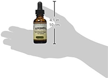 Amber NaturalZ Adizone for Dogs, Joint Comfort & Mobility Support, 1 fl oz
