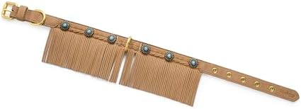 Blueberry Pet Silver-Powered Freshness Western Fringe Brown Microfiber Suede Collar with Turquoise Conchos