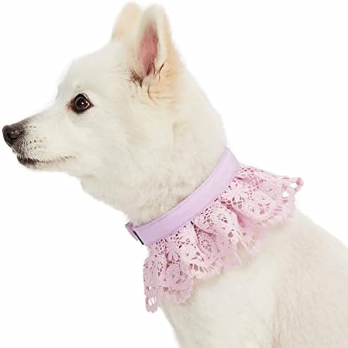 Blueberry Pet Floral Lace Adjustable Dog Collar in Lavender with Metal Buckle, Neck 13-16.5", for Medium Breed