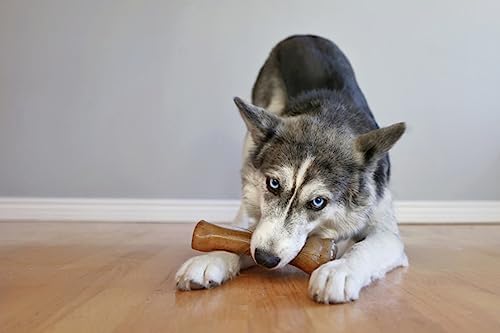Nylabone Puppy Chew Teething Knuckle Bone Dog Chew Toy, Chicken Flavor | For large breed puppies 50+ lbs, soothing teething toys for puppies, puppy enrichment, freeze for added comfort
