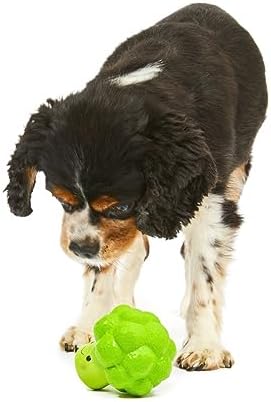 Petface Latex Broccoli Soft Chew Dog Toy, Small | Durable & Flexible Material, Squeaky Sound, Safe for Pets, Interactive Fun