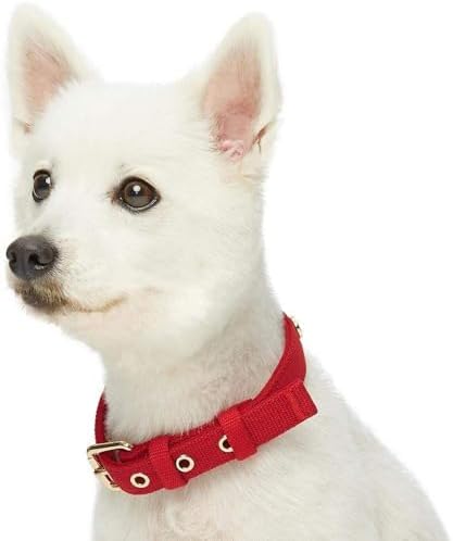 Blueberry Pet New Classic Modern Iconic Neoprene Padded Dog Collar Scarlet Red/Large