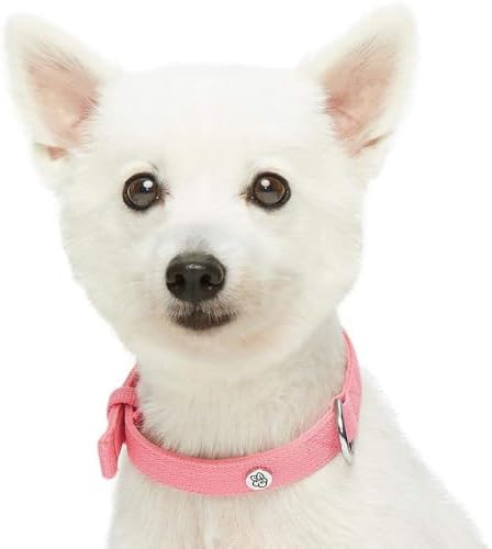 Blueberry Pet New Classic Modern Iconic Neoprene Padded Dog Collar Carnation Pink/Large