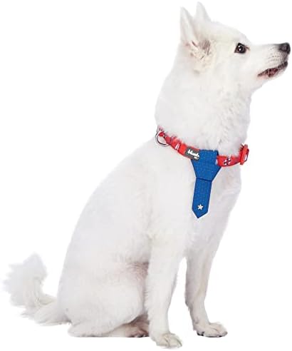 Blueberry Pet 4 Patterns Cardinal Red Nautical Sailboat Designer Adjustable Tie Dog Collar, Small, Neck 12"-16"