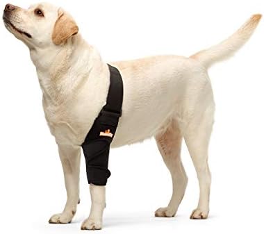 NeoAlly Dog Elbow Brace Protector Pads for Canine Elbow and Shoulder Support Elbow Hygroma, Dysplasia, Osteoarthritis, Elbow Calluses, Pressure Sores and Shoulder Dislocation (Left Leg, Large)