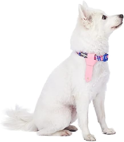 Blueberry Pet 4 Patterns Multiple Hues Scottish Plaid Style Adjustable Tie Dog Collar, Medium, Neck 14.5"-20"