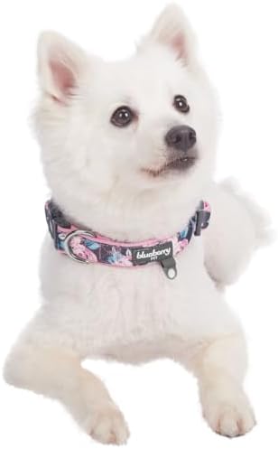 Blueberry Pet Floral Prints Neoprene Padded Dog Collar, Pink Rose, Adjustable Dog Collar for Large Dogs, Size Large, Neck 18-26”