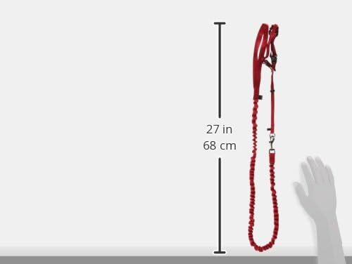 PetSafe Come With Me Kitty Harness and Bungee Leash, Harness for Cats, Medium, Red/Cranberry, Model:CWMK-M-RED | Adjustable 2-Point Fit Applies Gentle Pressure to Shoulders, Not Neck, for Small & Average Cats with 10.5 in - 14 in Girth