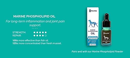 Korure Marine Phospholipid Oil for Dogs - Strongest Omega-3 Joint & Mobility Supplement - Value Pack of 2 (Made in New Zealand)