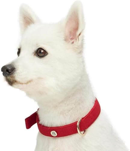 Blueberry Pet New Classic Modern Iconic Neoprene Padded Dog Collar Scarlet Red/Large