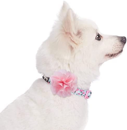 Blueberry Pet Made Well Cute Floral Print Adjustable Dog Collar in Light Blue with Pink Silk Flower, X-Small, Neck 7.5-10", Dog Collars for Small Dogs, Puppy Collar, Extra Small Dog Collar