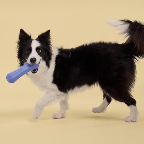 Playology Squeaky Chew Stick - Scented Dog Toy - Jumbo, Blueberry Scent | Rubber Construction, All Natural Scent, Durable Design