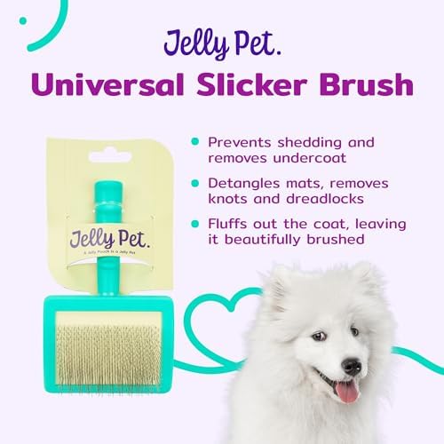 Jelly Pet Universal Slicker Brush for Dogs, Large