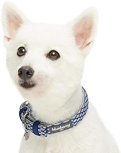 Blueberry Pet Diamond Pattern Adjustable Neoprene Padded Dog Collar with Metal Buckle - Royal Blue, Neck 13-16.5", for Medium Breed