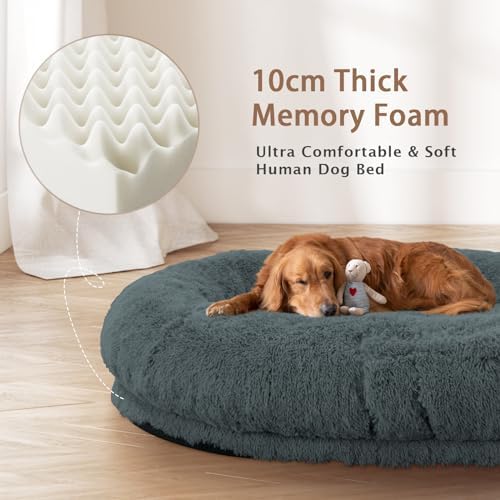 ROOMTEC Human Dog Bed, 71''x45''x12'' Size Fits Adult and Pet Washable Giant People Bed 10 CM Thick Memory Foam Large Oversize Pet Bed with Plump Pillow, Blanket, Strap - Darkgrey