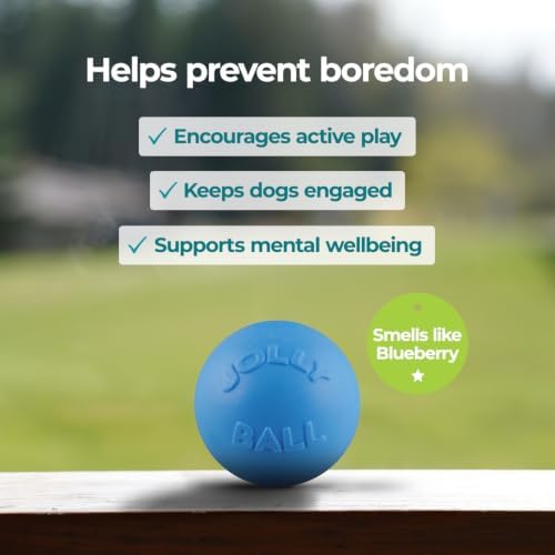 Jolly Pets Bounce-n-Play Dog Toy Ball, 6 Inches, Blueberry, All Breed Sizes | Tough, bouncy medium dog ball made from JollyFlex material that retains shape even when punctured and floats for water play