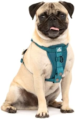 Kurgo Enhanced Strength Tru-Fit Smart Harness, Ink Blue, Small