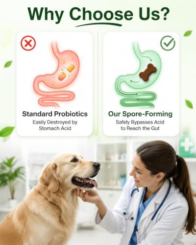 Probiotics for Dogs: Dog Probiotic Soft Chews with Spore Probiotic, 120ct