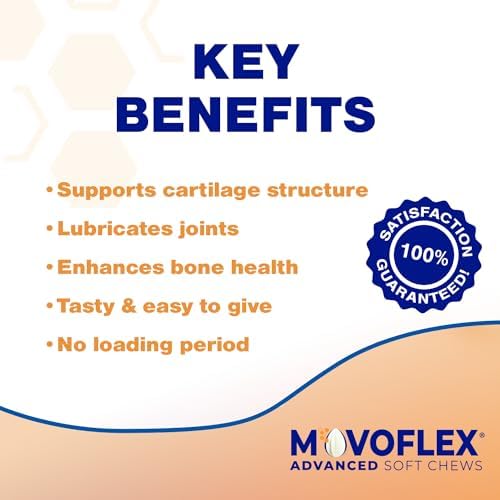 MOVOFLEX Advanced Soft Chews Hip and Joint Support Supplement for Small Dogs - 60 Count by Virbac (Pack of 2)