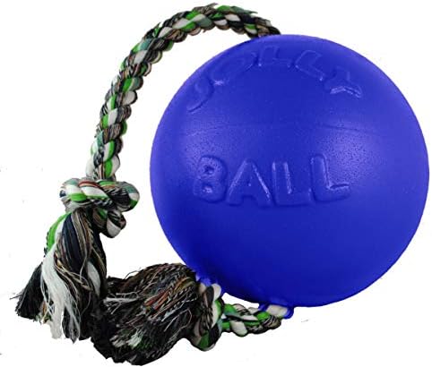 Jolly Pets Romp-N-Roll Rope & Ball Dog Toy, 6 in Medium, Blue | Rope-and-ball fetch toy in tough JollyFlex - won't deflate if punctured, floats, made in USA