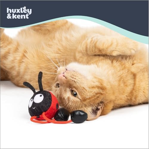 Huxley & Kent Chirpy Interactive Catnip Cat Toy, Ladybug | Touch Activated Chirp Chip with Auto Shut Off, Catnip & Crinkle, Dangly Motion, Soft Plush for Indoor Play