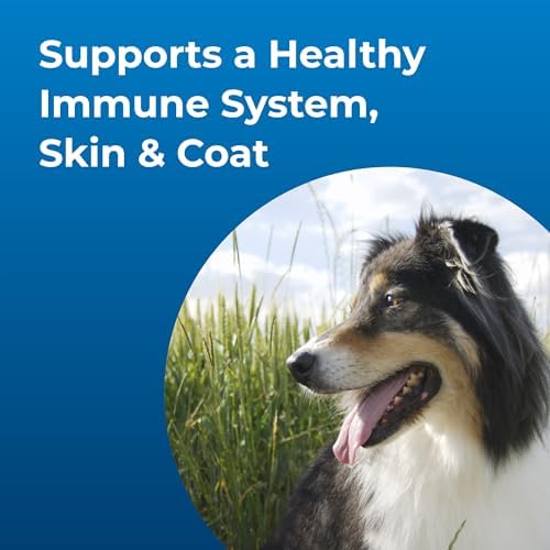 PetAg Dyne High Calorie Liquid Nutritional Supplement for Dogs & Puppies 8 Weeks and Older - 16 oz - Supports Performance and Endurance - Sweet Vanilla Flavor