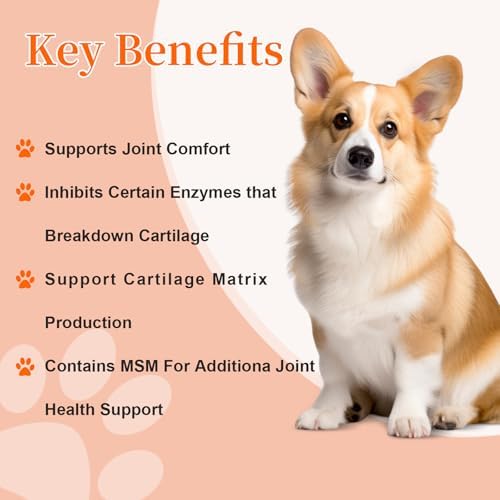 Hip and Joint Supplement Dogs with Glucasamine for Dogs, Hip Pain Relief for Small, Medium and Large Breed, Hip and Joint Chews for Dog MSM, Chondroitin 90 Count, Chicken Flavor