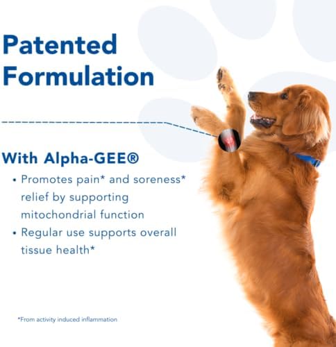 Mobility Support Capsules for Large Dogs, Supports Recovery and Promotes Healthy Joints and Muscles from Activity-Induced Discomfort, 90 Count