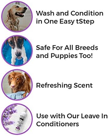 BarkLogic Plant Based 2 in 1 Dog Shampoo and Conditioner, Lavender, 16 fl oz - Grooming Essentials for A Quality Coat - No Parabens, No Phthalates, No Sulfates, No DEA & PEG, Safe & Vegan