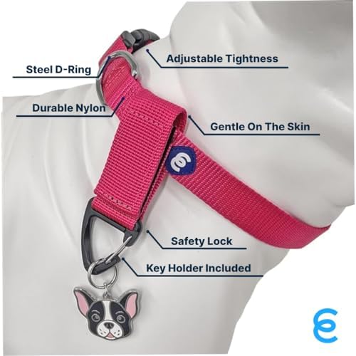 Blueberry Pet Essentials Medium Dog Collar & Key Holder Set | Adjustable French Pink Nylon Collar for Medium Dogs | Classic Solid Color Design with Accessory