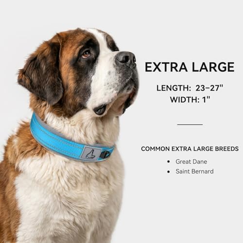 Joytale Reflective Dog Collar for XLarge Dogs with Wide Padding, Sky Blue